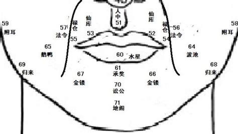 鼻毛太长面相|麦玲玲面相讲座之 鼻子 – 人相学